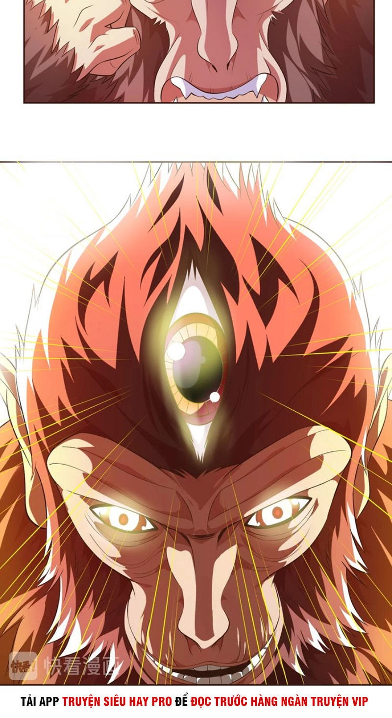 Chín Năm Nghĩa Vụ Tu Chân Chapter 19 - 12