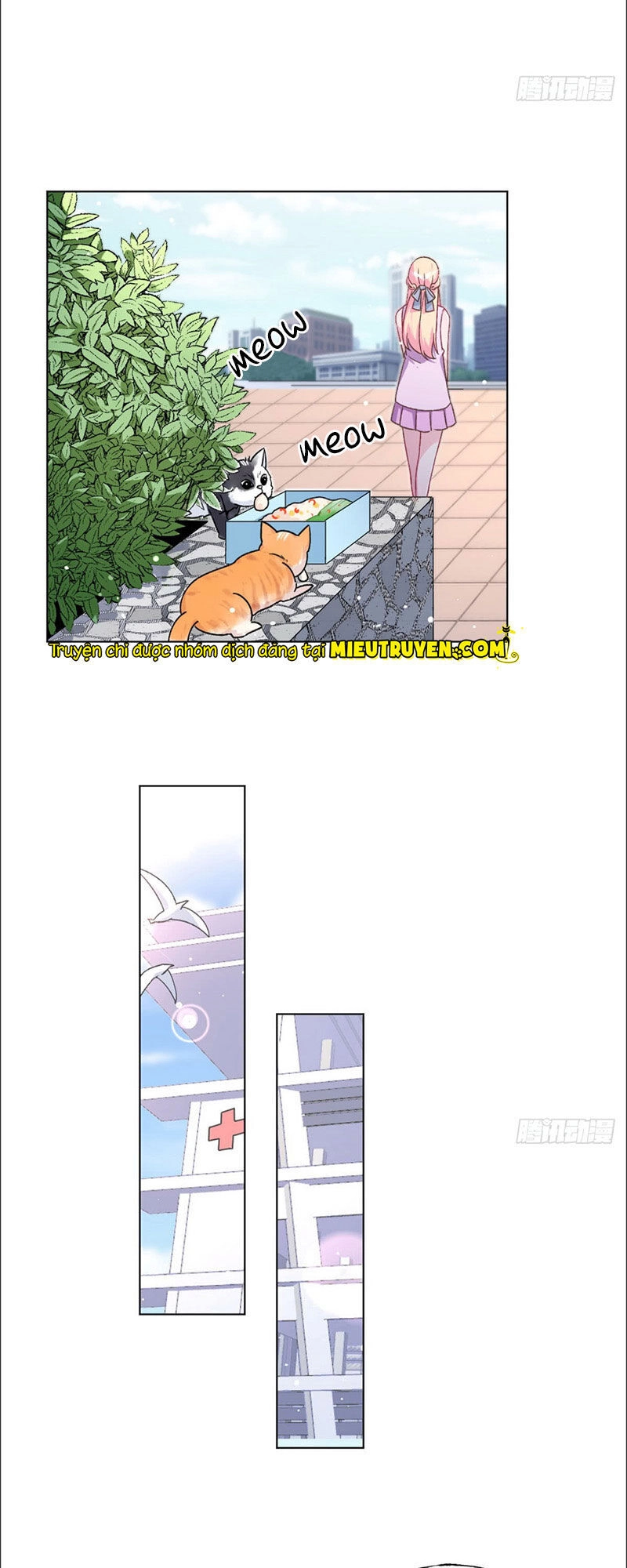 Baba Đẹp Trai Trên Trời Rơi Xuống Chapter 53 - 16