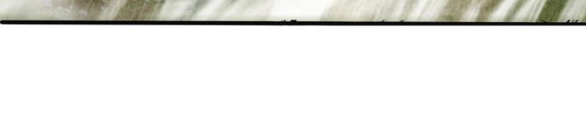 Thôn Phệ Lĩnh Vực Chapter 7 - 40