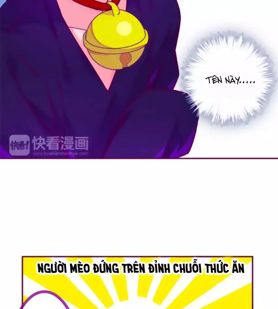 Đừng Nghịch, Ta Chỉ Muốn Yên Tĩnh Chapter 61 - 12