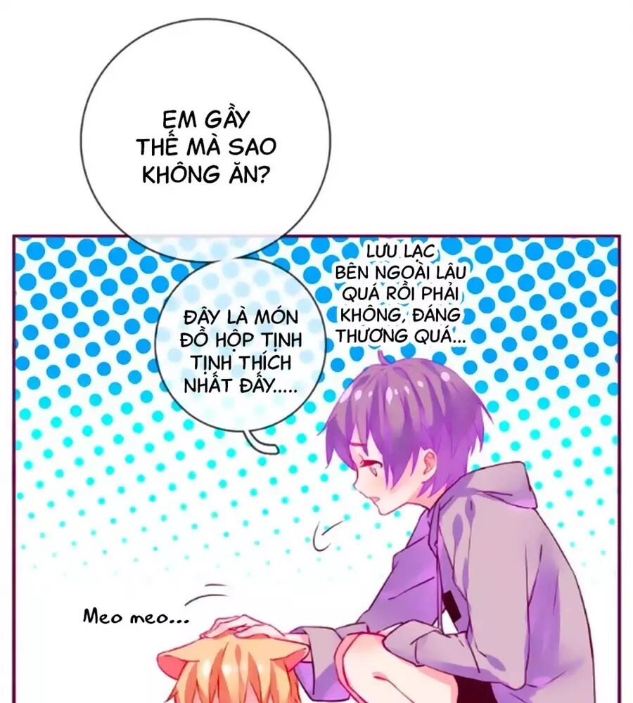 Đừng Nghịch, Ta Chỉ Muốn Yên Tĩnh Chapter 61 - 26