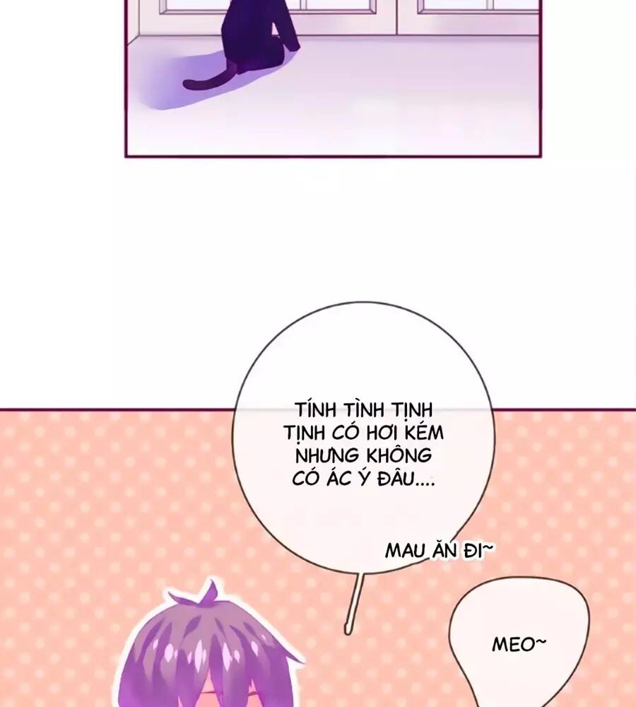 Đừng Nghịch, Ta Chỉ Muốn Yên Tĩnh Chapter 61 - 43