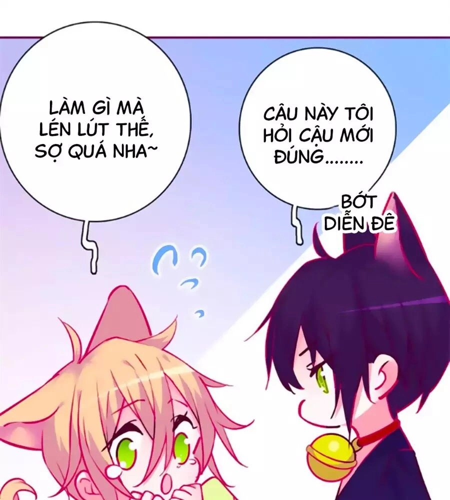 Đừng Nghịch, Ta Chỉ Muốn Yên Tĩnh Chapter 63 - 5