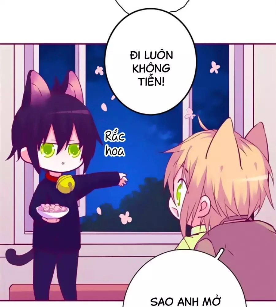 Đừng Nghịch, Ta Chỉ Muốn Yên Tĩnh Chapter 63 - 8