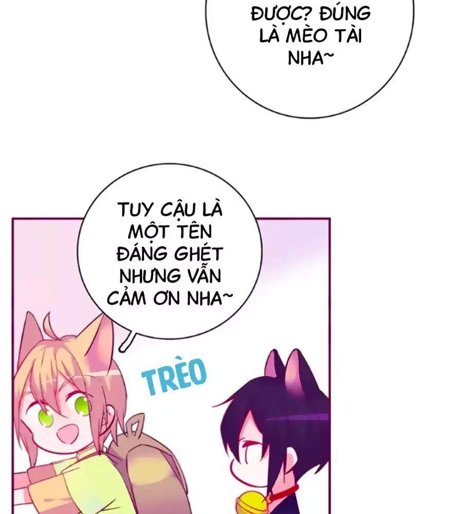 Đừng Nghịch, Ta Chỉ Muốn Yên Tĩnh Chapter 63 - 9