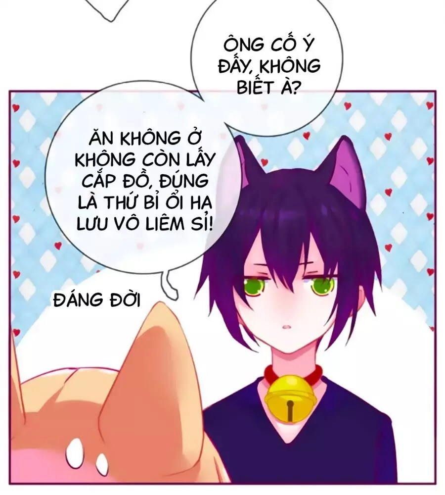 Đừng Nghịch, Ta Chỉ Muốn Yên Tĩnh Chapter 63 - 15