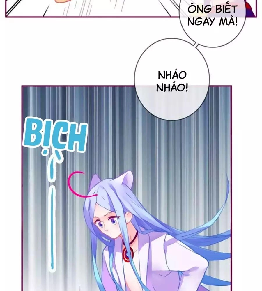 Đừng Nghịch, Ta Chỉ Muốn Yên Tĩnh Chapter 63 - 19