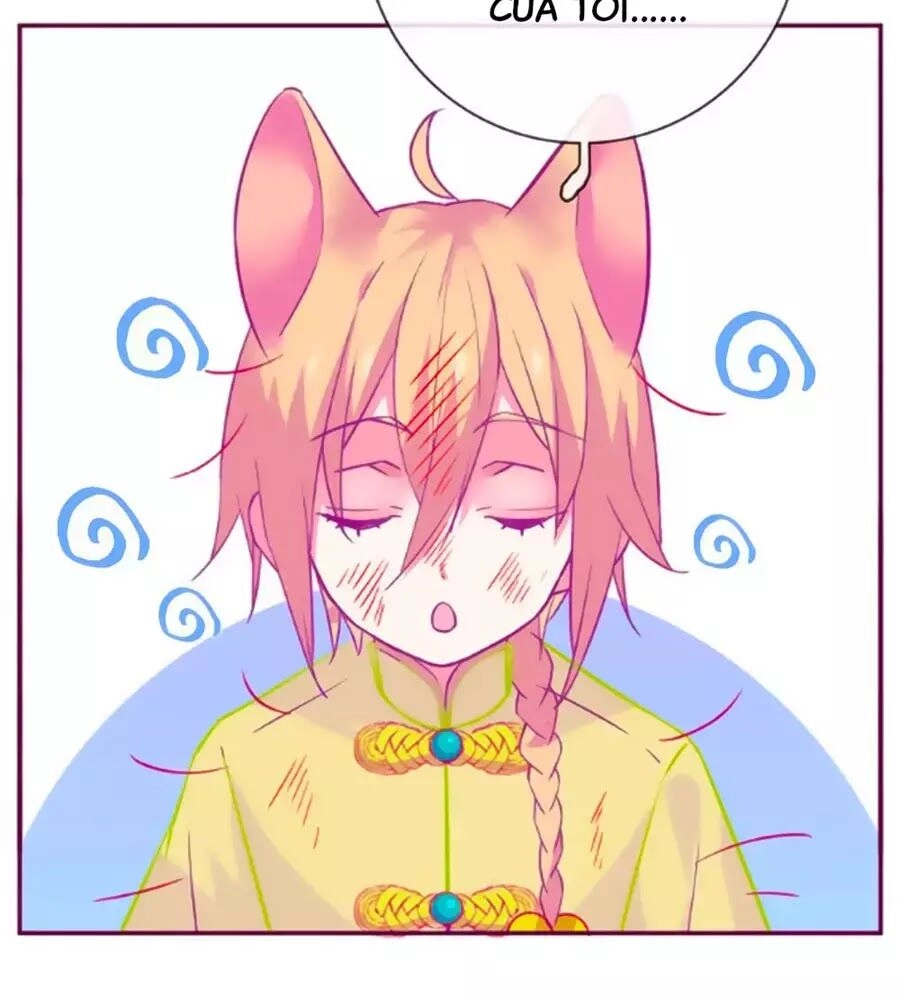 Đừng Nghịch, Ta Chỉ Muốn Yên Tĩnh Chapter 63 - 29