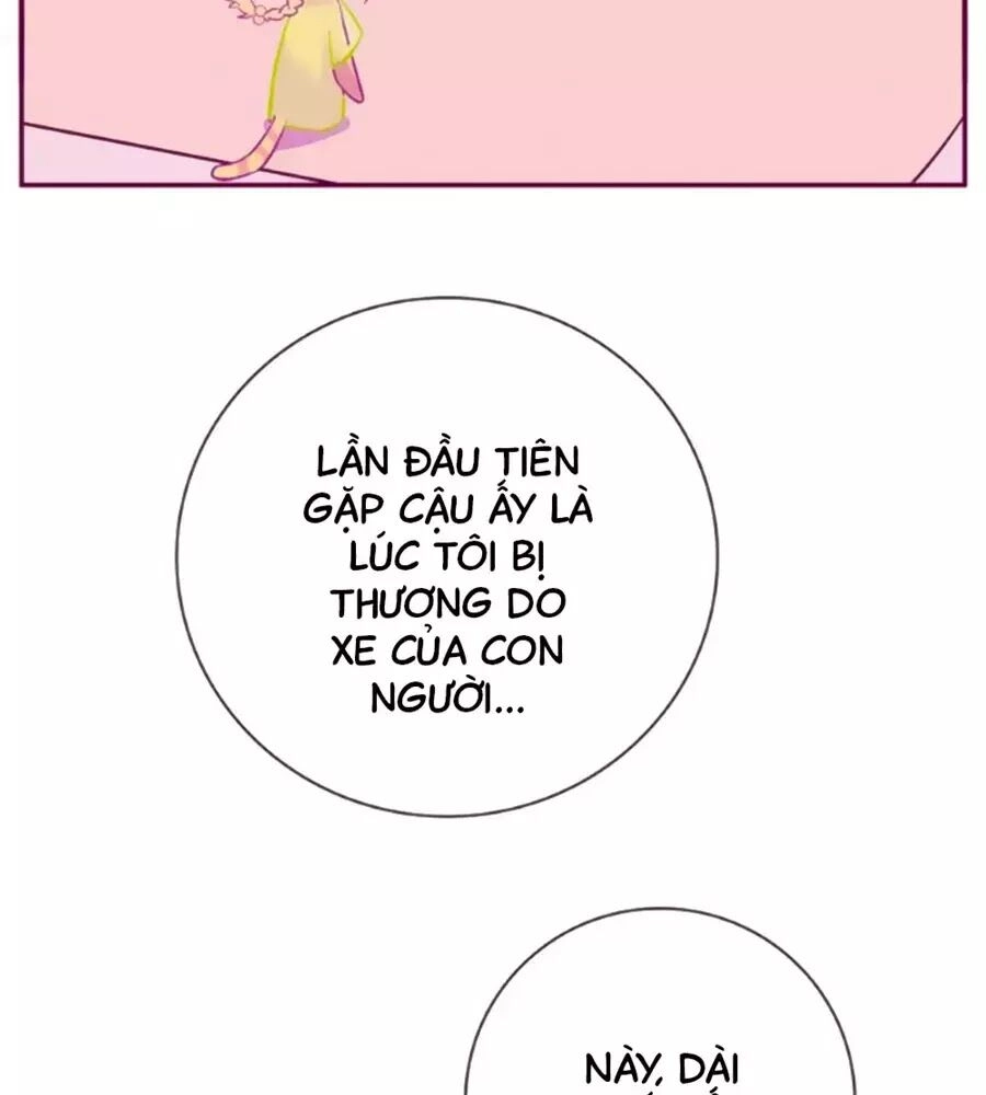 Đừng Nghịch, Ta Chỉ Muốn Yên Tĩnh Chapter 63 - 32