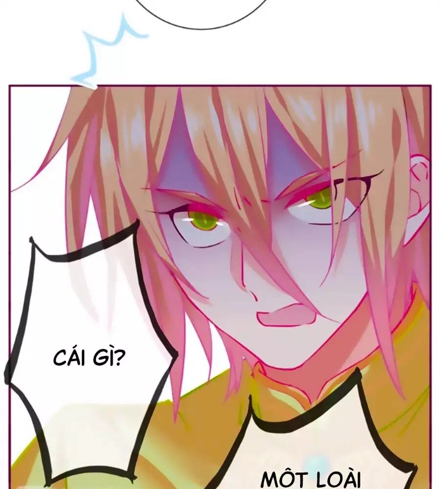 Đừng Nghịch, Ta Chỉ Muốn Yên Tĩnh Chapter 63 - 52