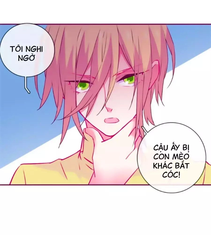 Đừng Nghịch, Ta Chỉ Muốn Yên Tĩnh Chapter 64 - 31