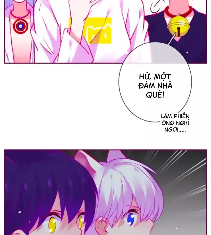 Đừng Nghịch, Ta Chỉ Muốn Yên Tĩnh Chapter 64 - 42