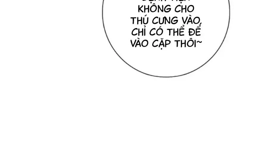 Đừng Nghịch, Ta Chỉ Muốn Yên Tĩnh Chapter 64 - 63