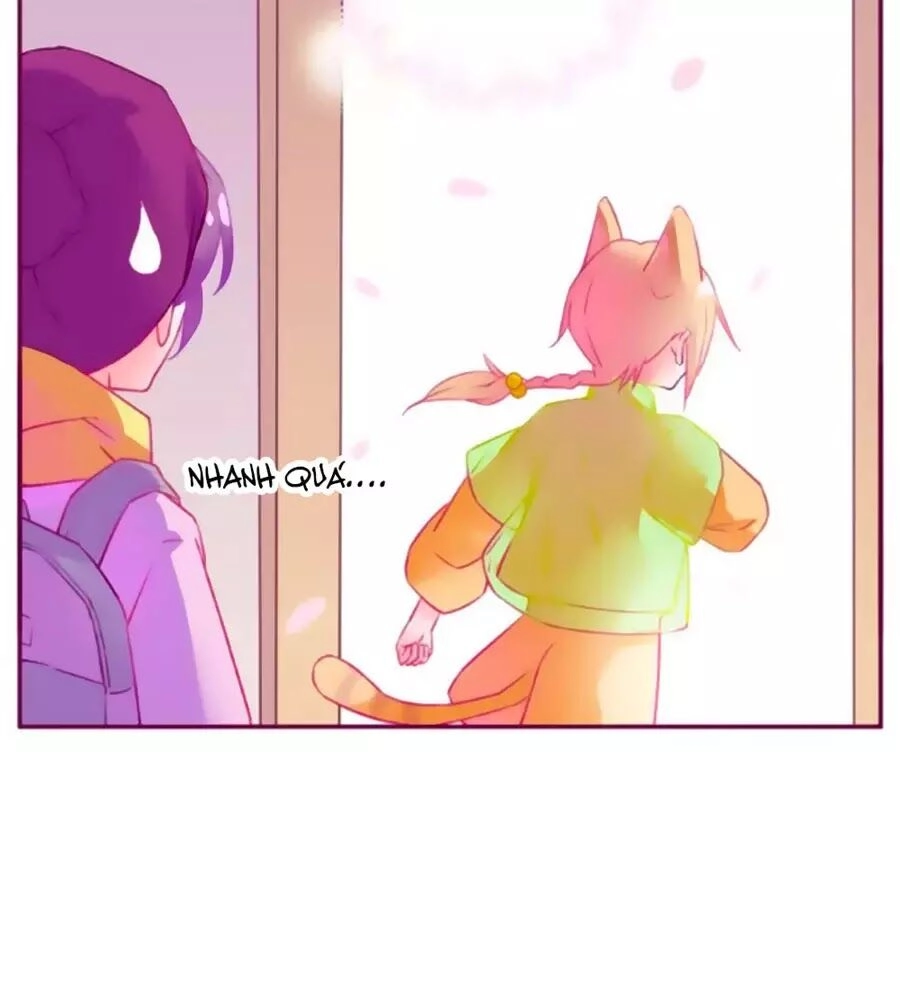 Đừng Nghịch, Ta Chỉ Muốn Yên Tĩnh Chapter 64 - 65