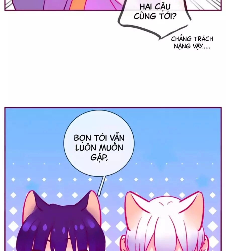 Đừng Nghịch, Ta Chỉ Muốn Yên Tĩnh Chapter 64 - 69