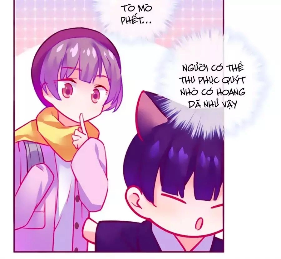 Đừng Nghịch, Ta Chỉ Muốn Yên Tĩnh Chapter 64 - 71