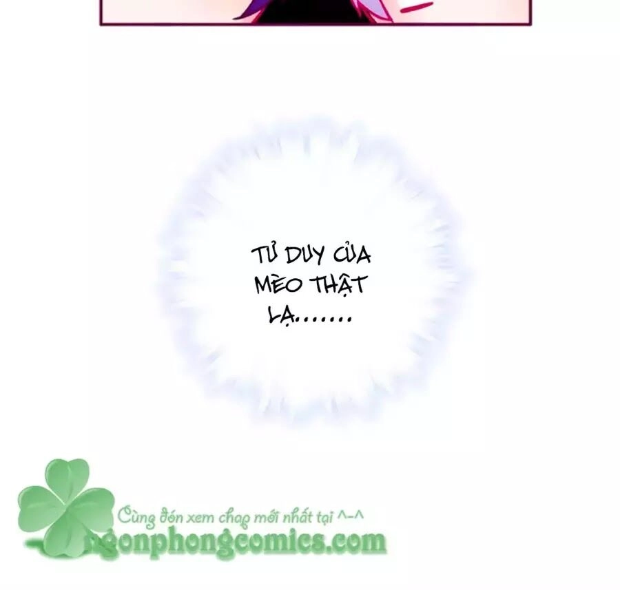 Đừng Nghịch, Ta Chỉ Muốn Yên Tĩnh Chapter 64 - 75