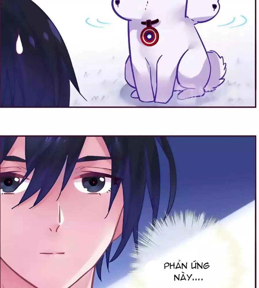 Đừng Nghịch, Ta Chỉ Muốn Yên Tĩnh Chapter 70 - 29