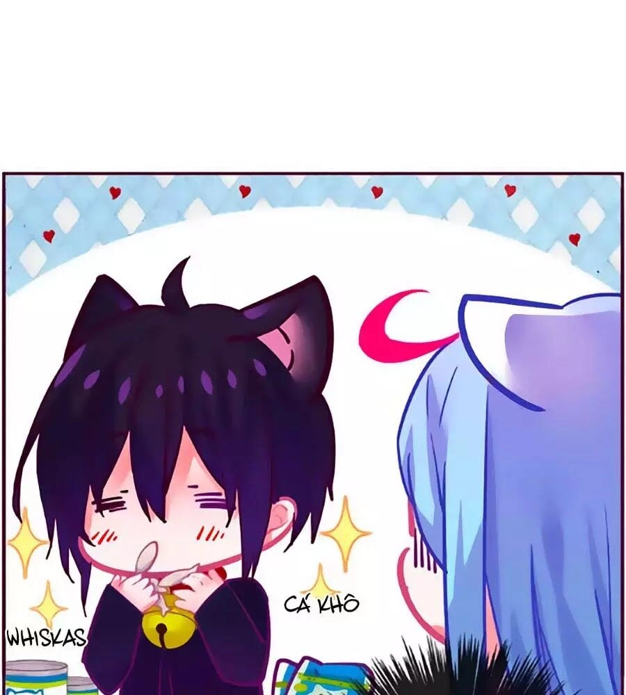 Đừng Nghịch, Ta Chỉ Muốn Yên Tĩnh Chapter 71 - 38