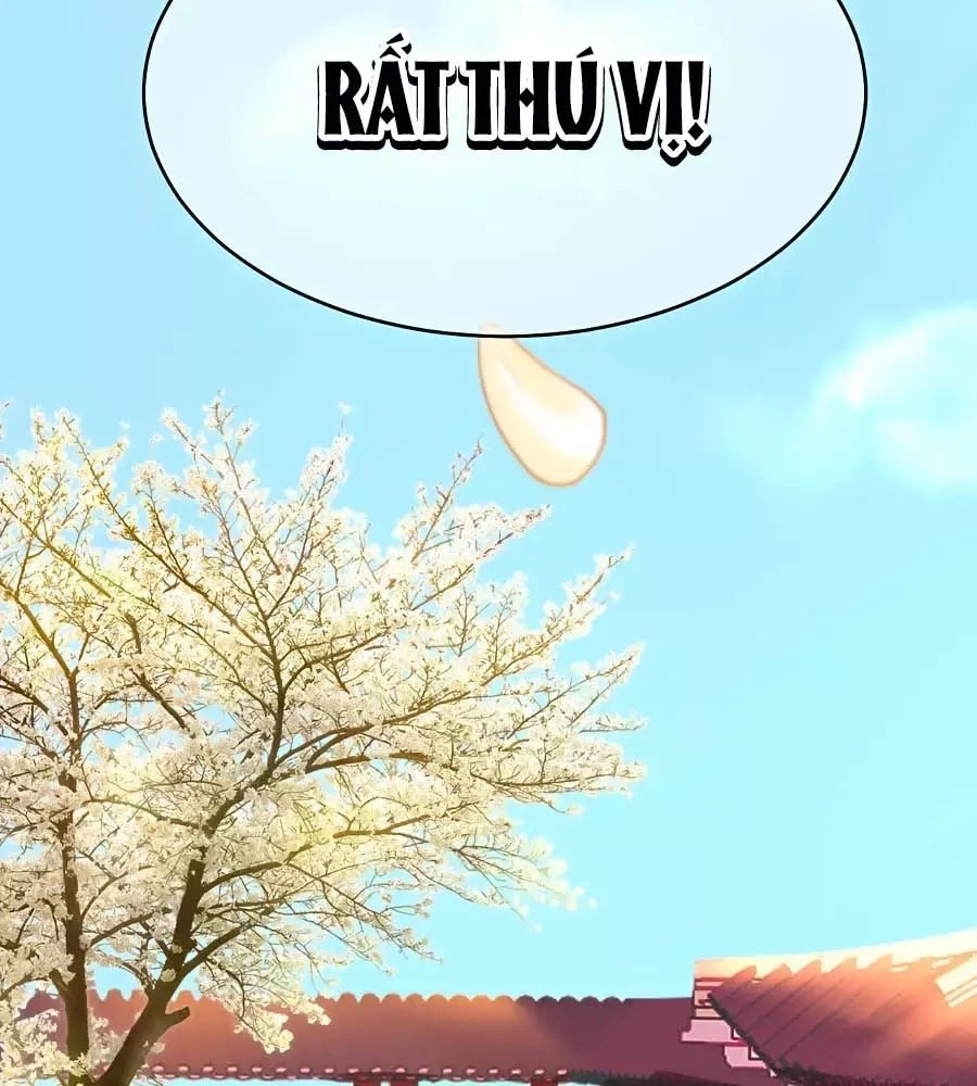 Quyền Phi Chi Đế Y Phong Hoa Chapter 1.2 - 49