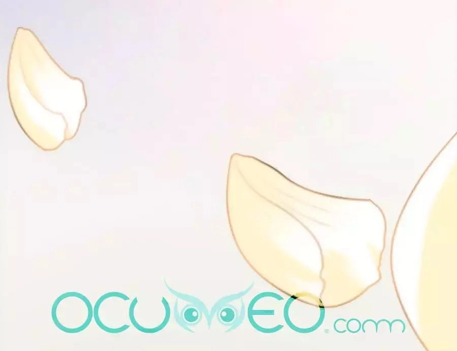 Quyền Phi Chi Đế Y Phong Hoa Chapter 1.2 - 51