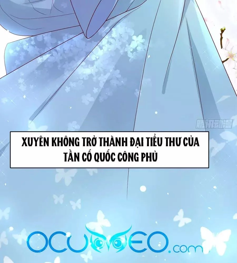 Quyền Phi Chi Đế Y Phong Hoa Chapter 2 - 5