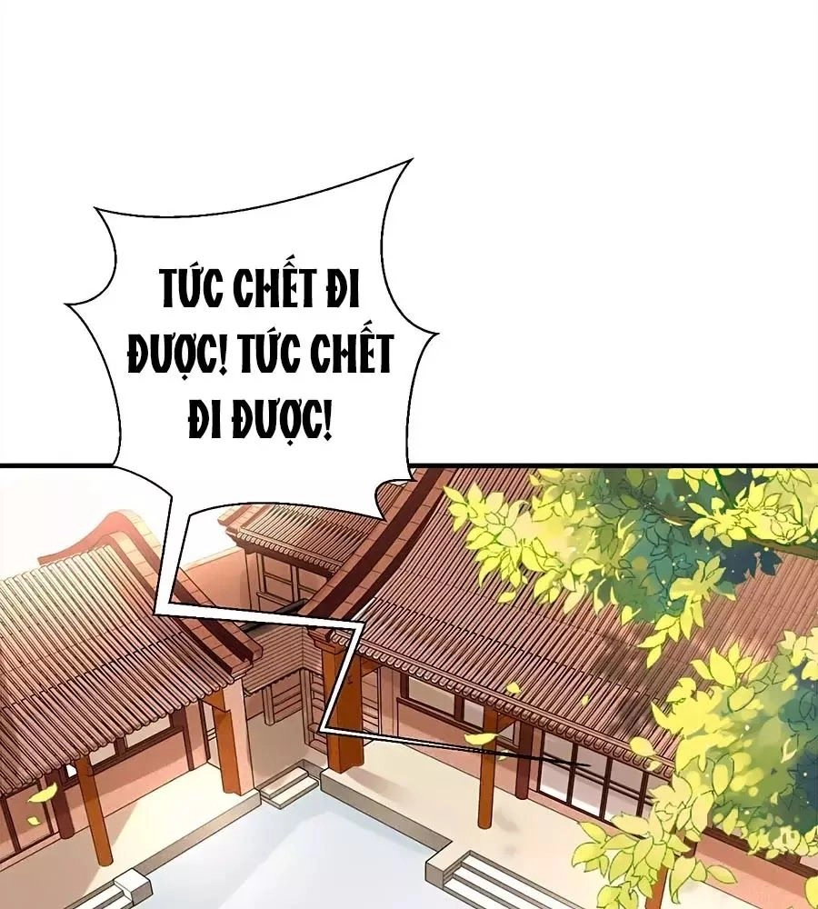 Quyền Phi Chi Đế Y Phong Hoa Chapter 4 - 4