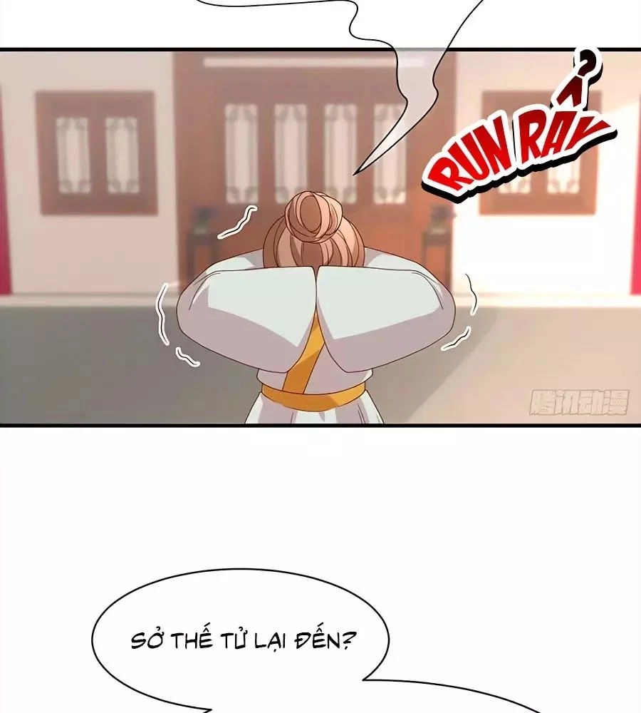 Quyền Phi Chi Đế Y Phong Hoa Chapter 4 - 8