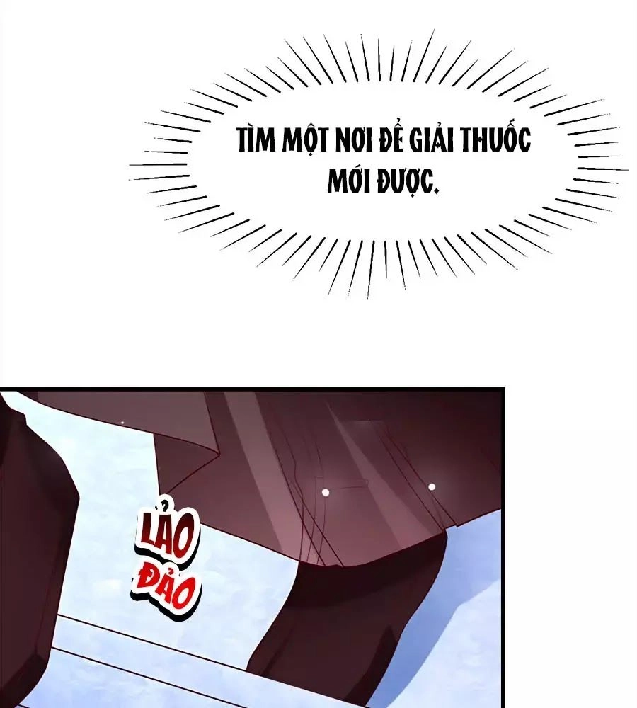 Quyền Phi Chi Đế Y Phong Hoa Chapter 4 - 60