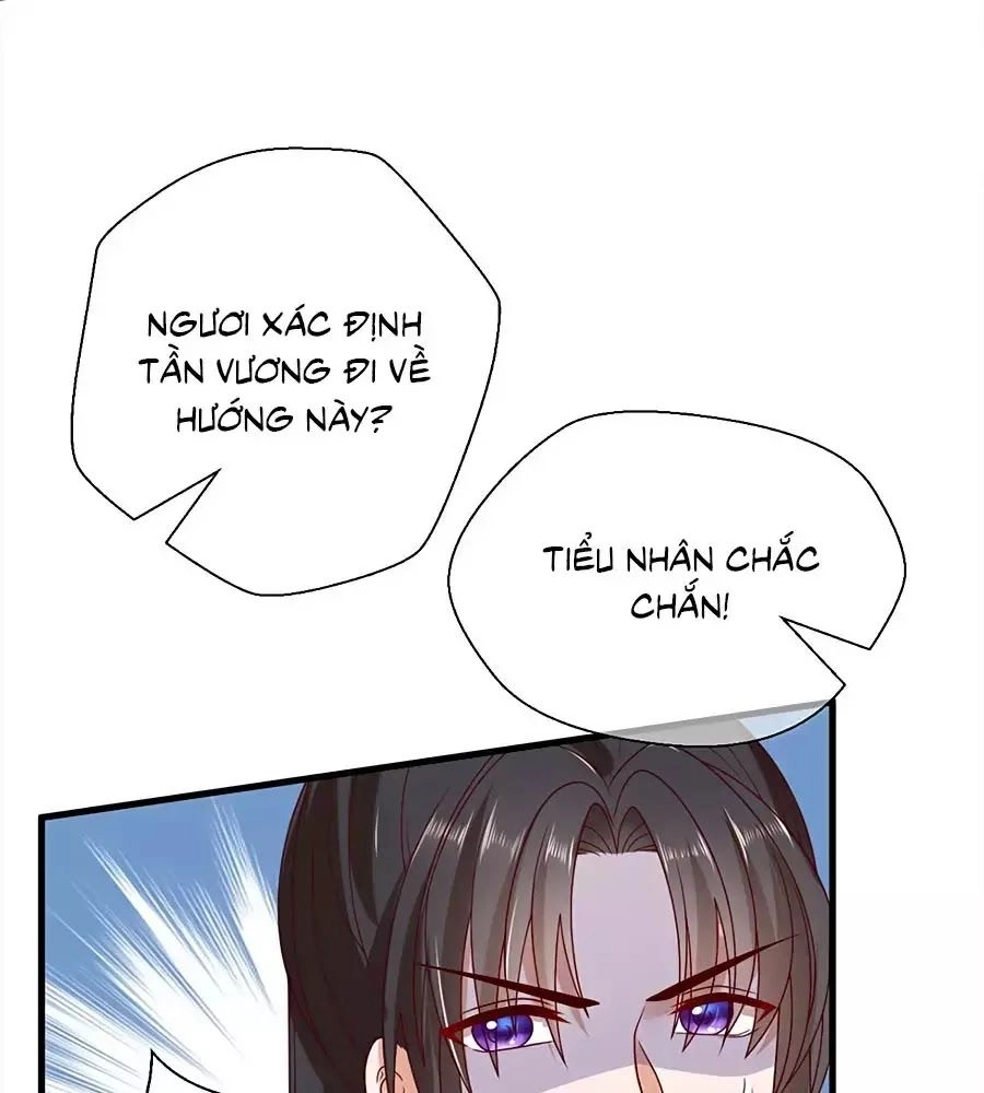 Quyền Phi Chi Đế Y Phong Hoa Chapter 5 - 8