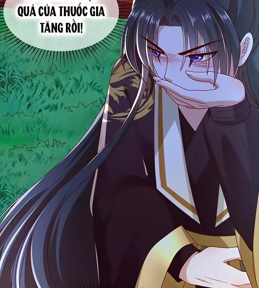 Quyền Phi Chi Đế Y Phong Hoa Chapter 5 - 12