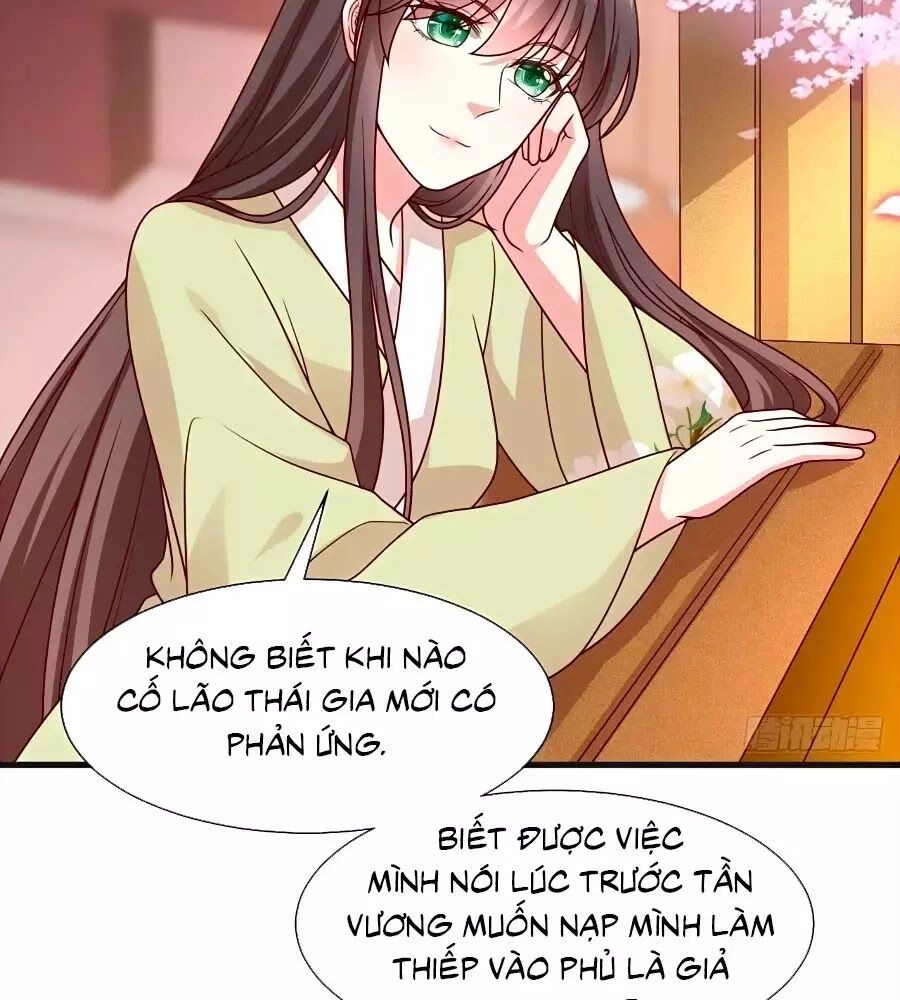 Quyền Phi Chi Đế Y Phong Hoa Chapter 13 - 42