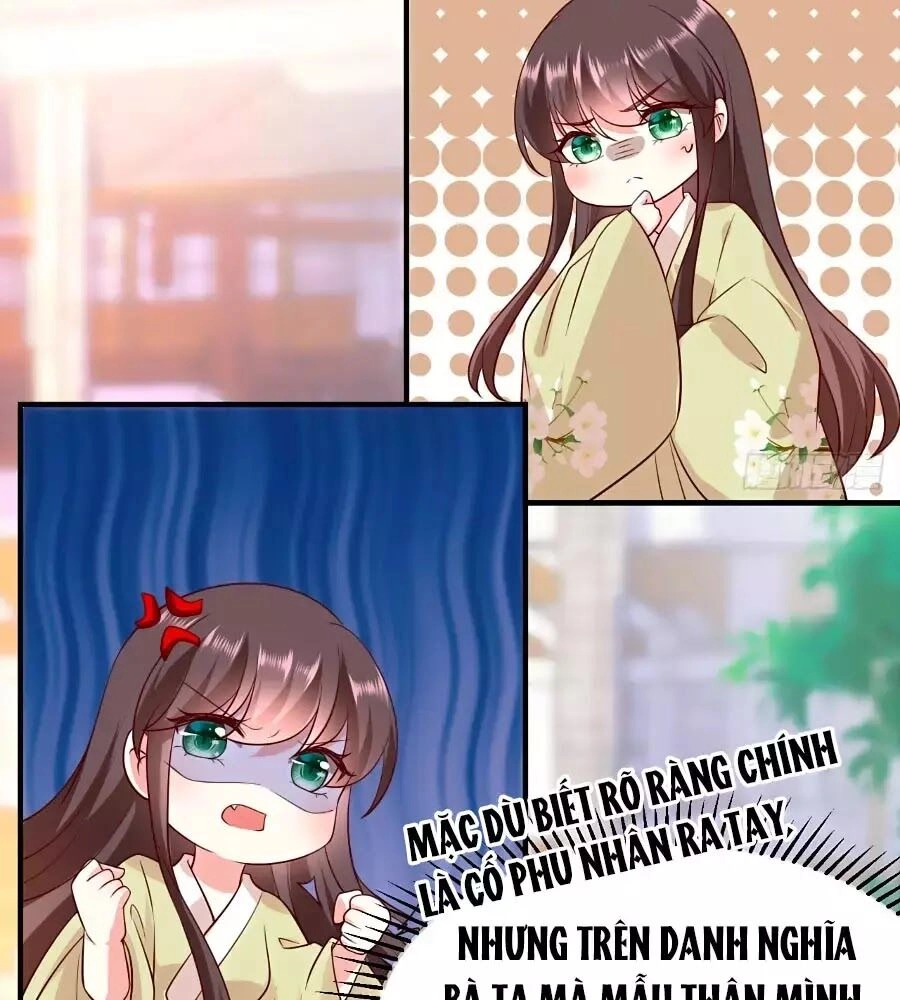 Quyền Phi Chi Đế Y Phong Hoa Chapter 14 - 26