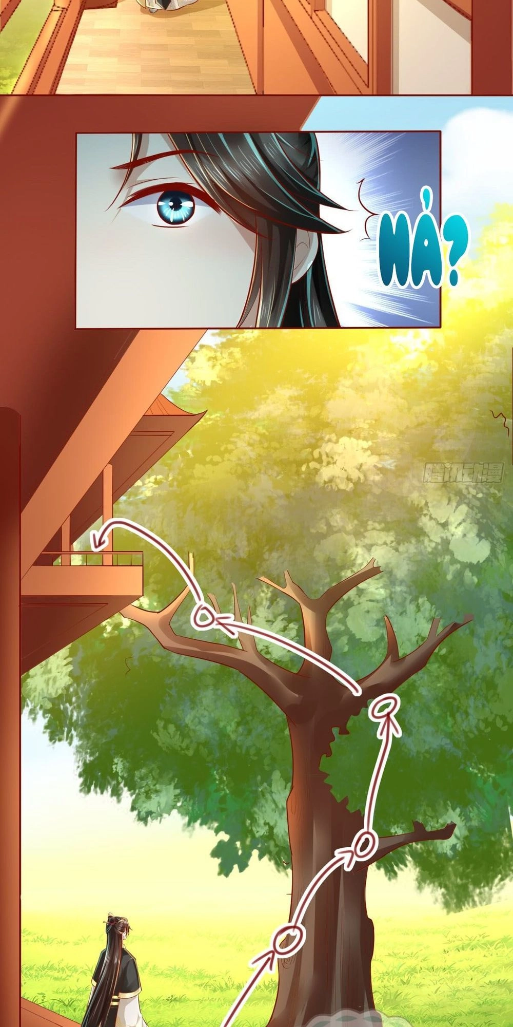 Bổn Cung Muốn Làm Hoàng Đế Chapter 17 - 23