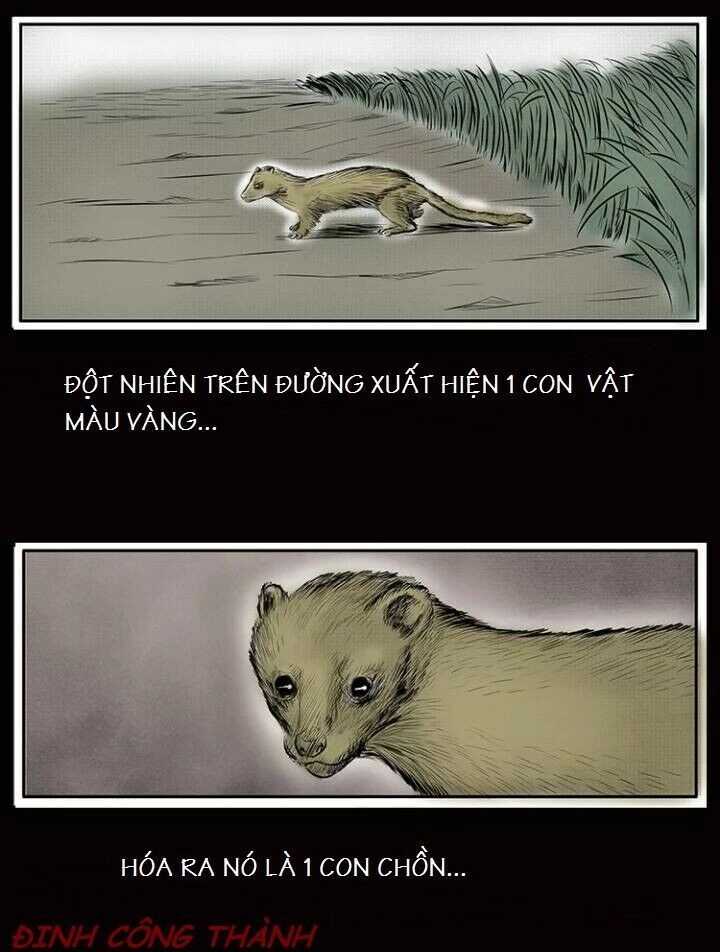 Thầy Súng Kể Chuyện Ma Chapter 8 - 4