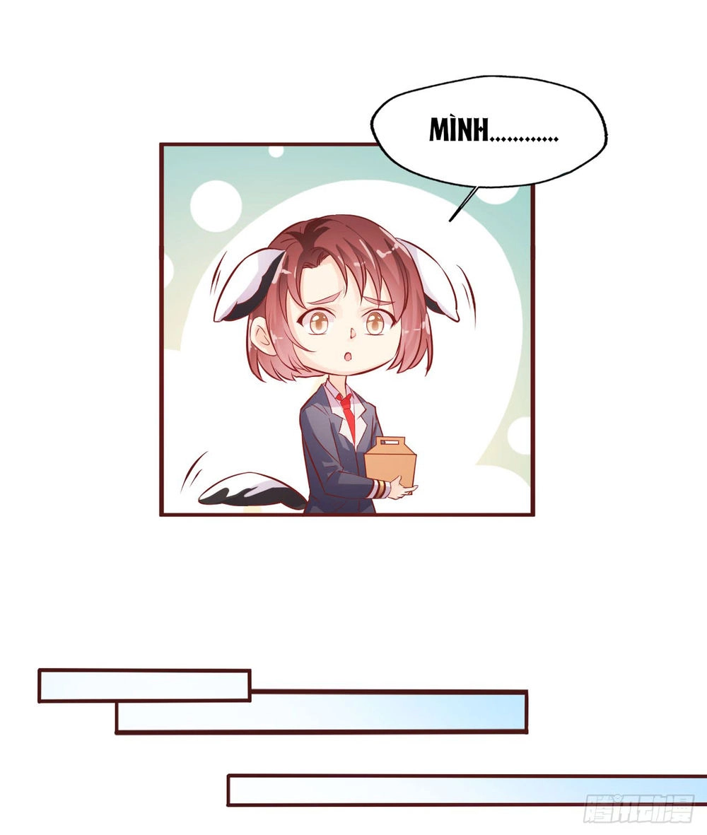 Sau Này Vẫn Cứ Thích Anh Chapter 10 - 13