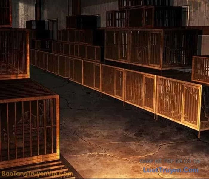 Hoán Đổi Diệu Kỳ Chapter 583 - 252