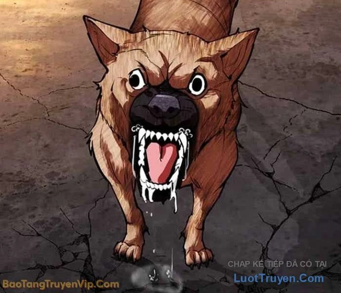 Hoán Đổi Diệu Kỳ Chapter 583 - 254