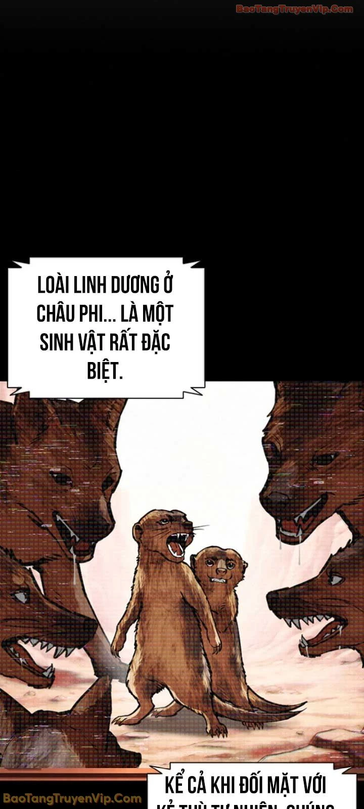 Hoán Đổi Diệu Kỳ Chapter 595 - 74