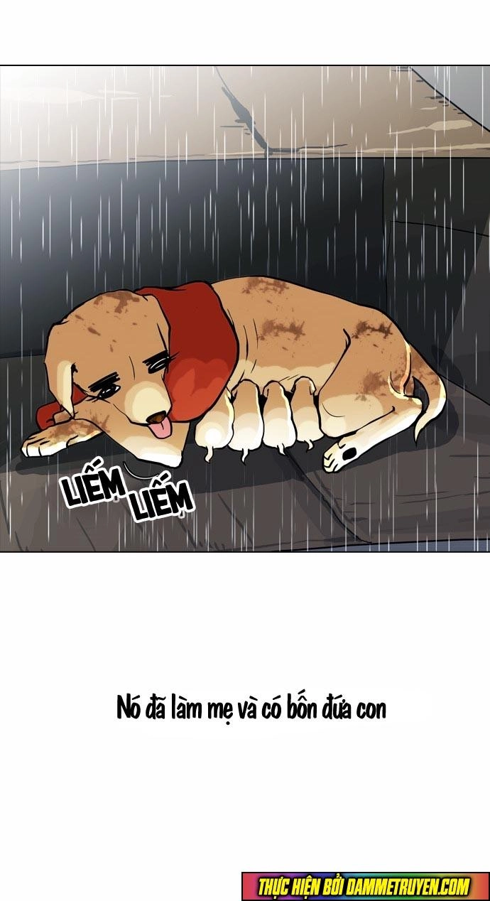 Hoán Đổi Diệu Kỳ Chapter 61 - 16