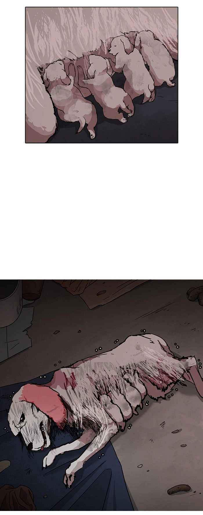 Hoán Đổi Diệu Kỳ Chapter 150 - 20