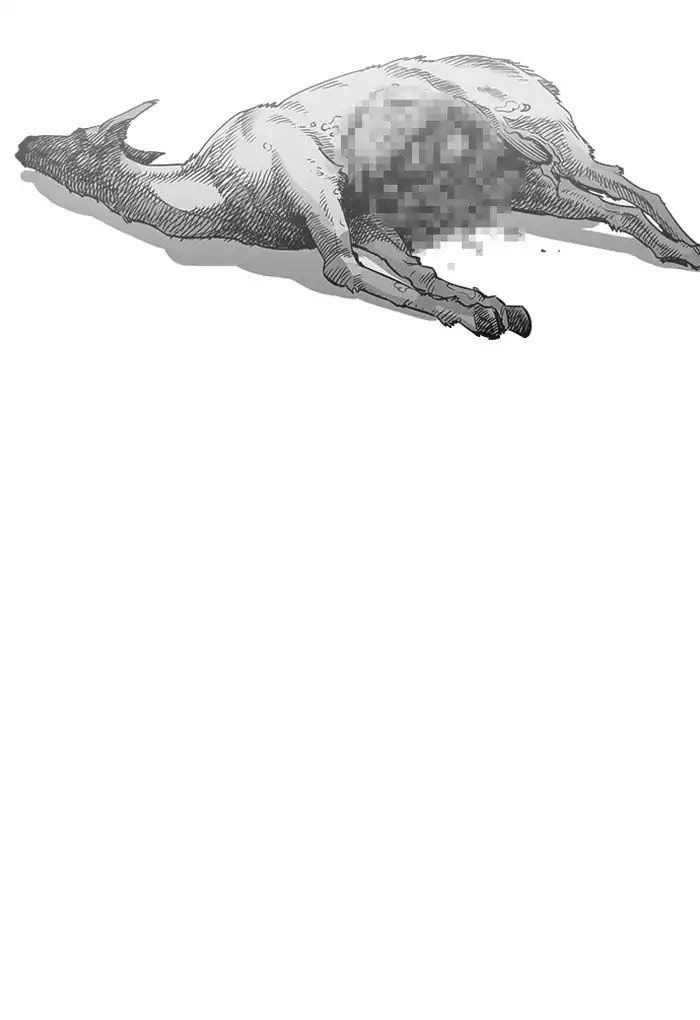 Hoán Đổi Diệu Kỳ Chapter 202 - 30