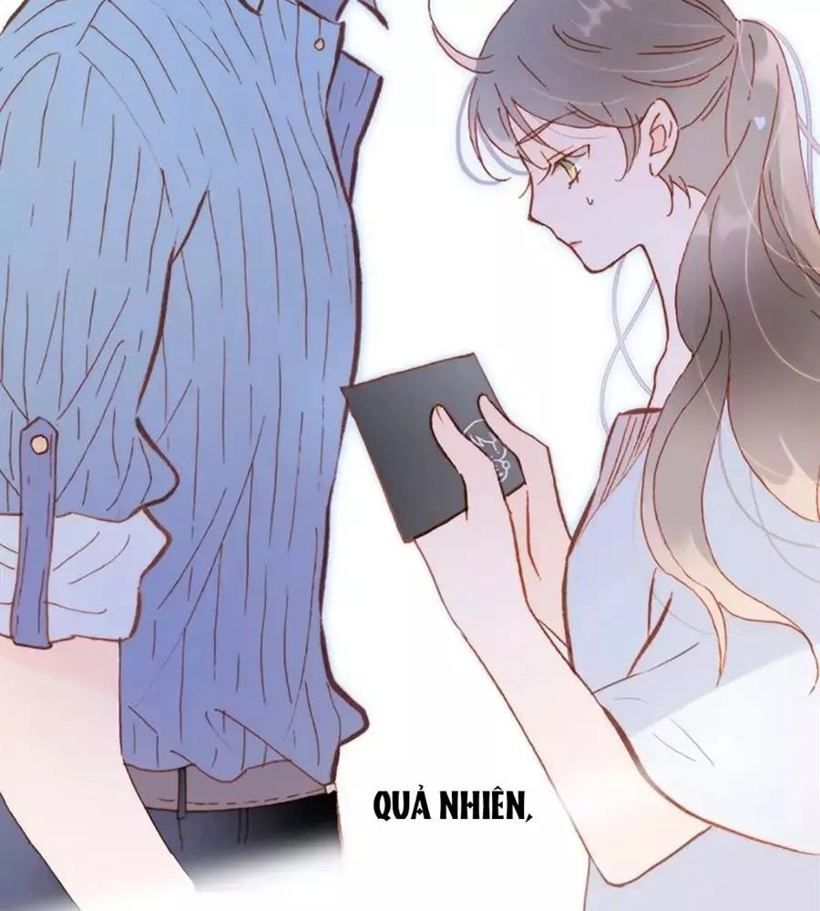 Tiếng Đàn Lặng Câm Giữa Lòng Vũ Trụ Chapter 71 - 19