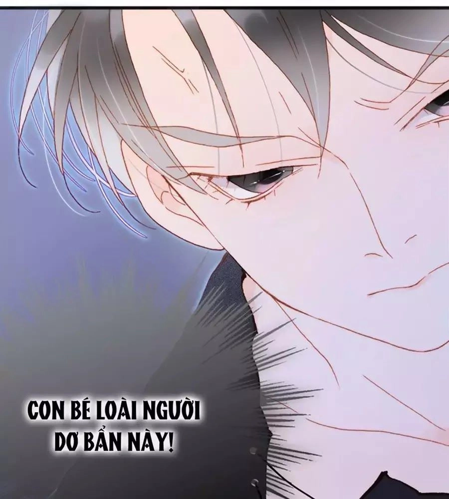 Tiếng Đàn Lặng Câm Giữa Lòng Vũ Trụ Chapter 71 - 40