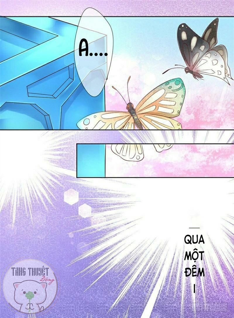 Độc Y Cuồng Phi Chapter 2 - 2