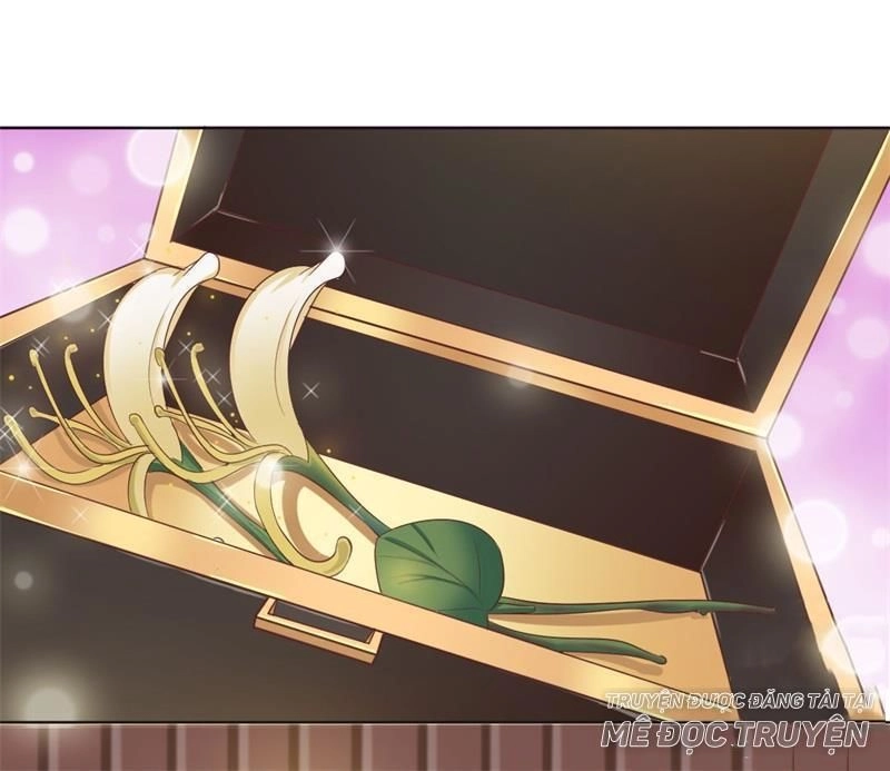 Độc Y Cuồng Phi Chapter 7 - 16