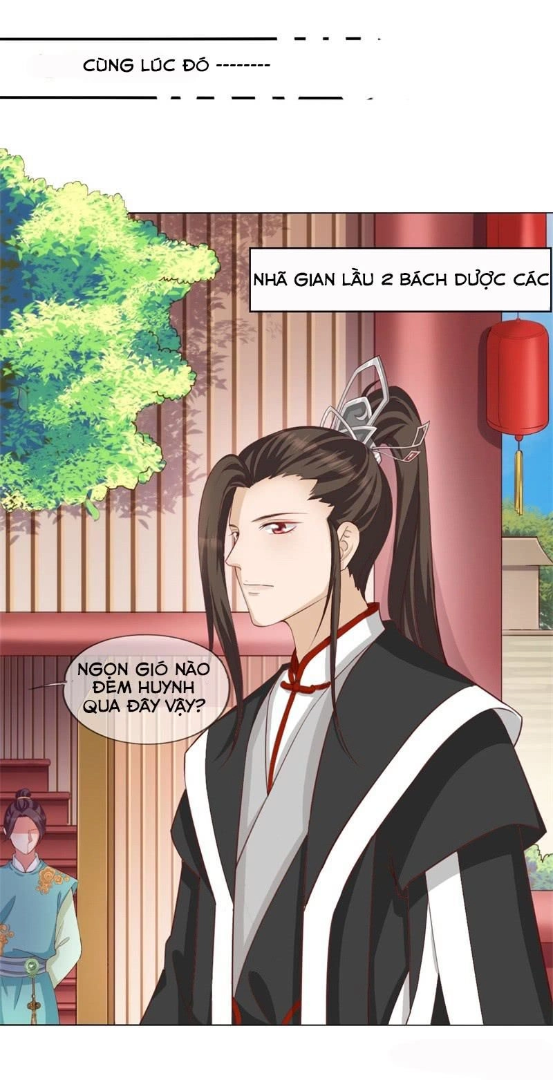 Độc Y Cuồng Phi Chapter 9 - 15