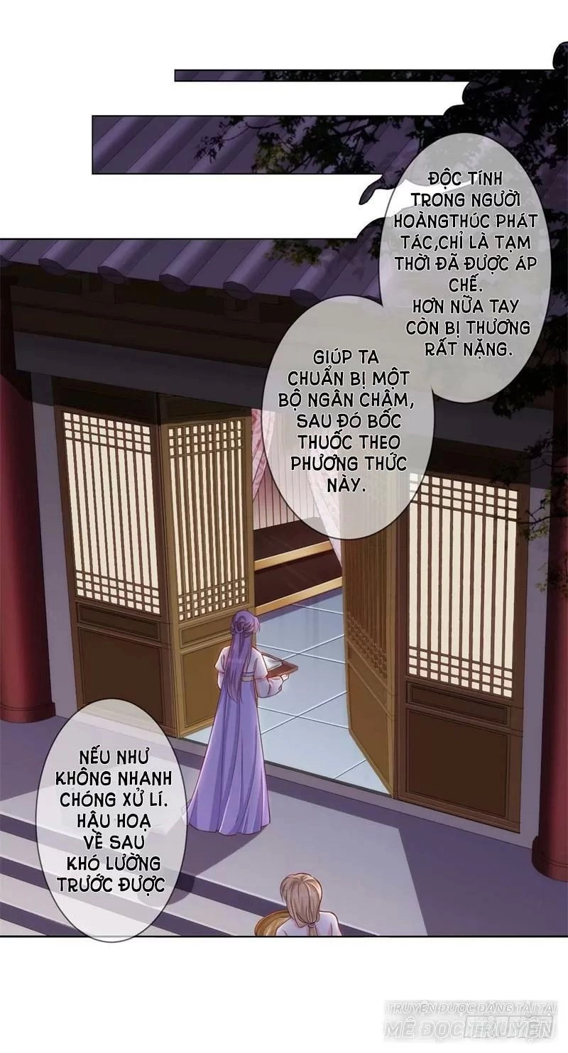 Độc Y Cuồng Phi Chapter 20 - 6