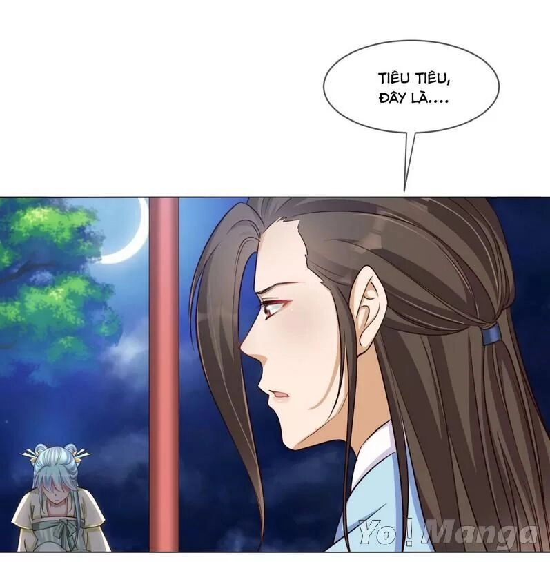 Độc Y Cuồng Phi Chapter 28 - 16