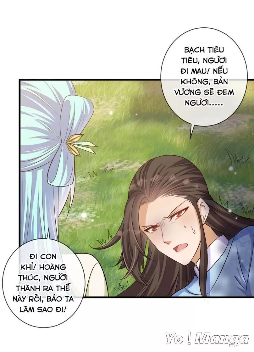 Độc Y Cuồng Phi Chapter 32 - 4